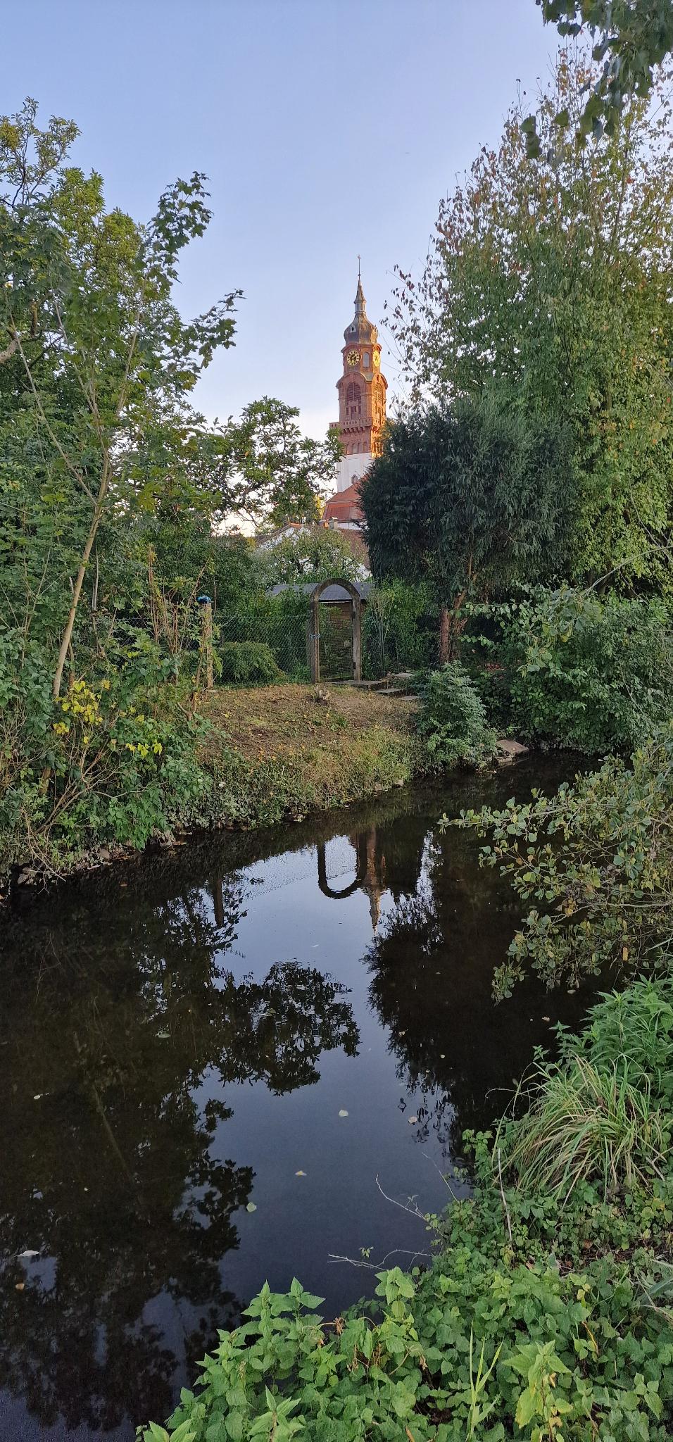 Blick durch Bäume auf einen Kirchturm, der sich im Wasser spiegelt